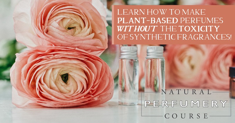 How to make a natural perfume part 2: oil-based perfumes - School of  Natural Skincare