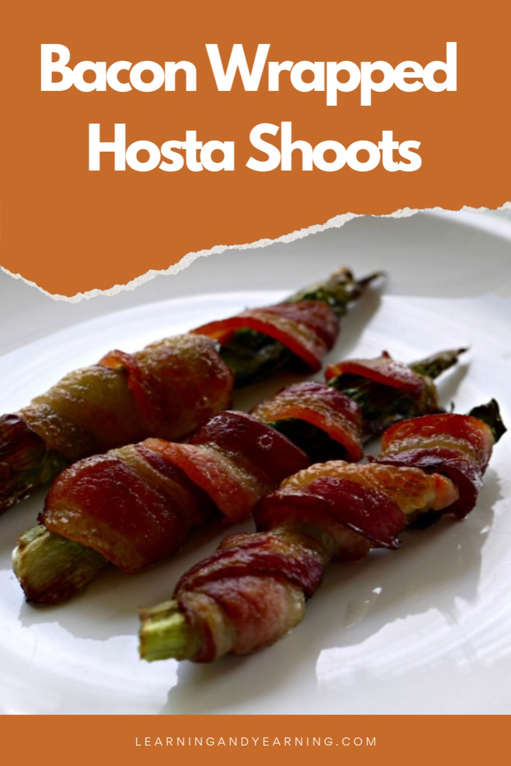 Delicious bacon wrapped hosta shoots!