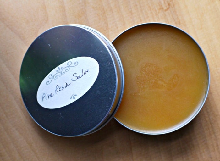 Wild Foraged Pine Resin Balm - GATHER & GROW