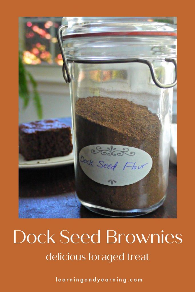 Homemade, delicious dock seed brownies!