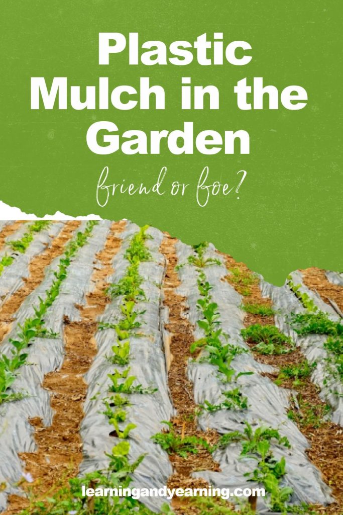 Is using plastic mulch in the garden a good idea?