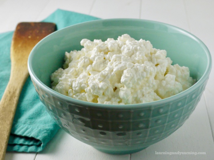 Creamy Homemade Raw Milk Cottage Cheese