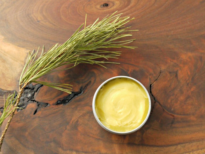 pine needle and honey moisturizing lip balm
