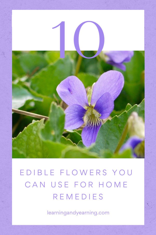 While not all flowers are edible, there are dozens which are. My focus here, though, is on edible flowers that are also amazing when used to make homemade herbal remedies. #edibleflowers #homeremedies #natural #herbalism