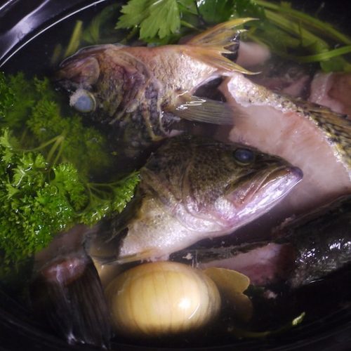 How to Make Fish Stock From Fresh Fish