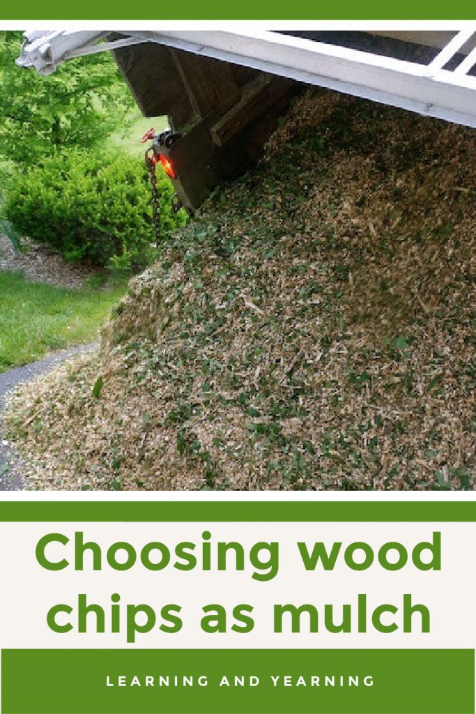 Using Wood Chips for Mulch What to Use and What to Avoid