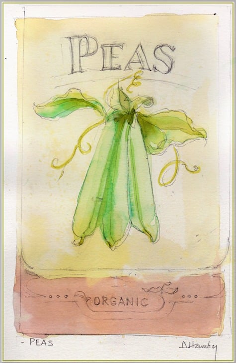 watercolor garden peas