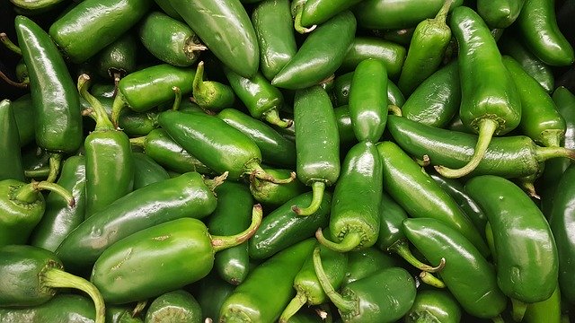 Jalapeno peppers 