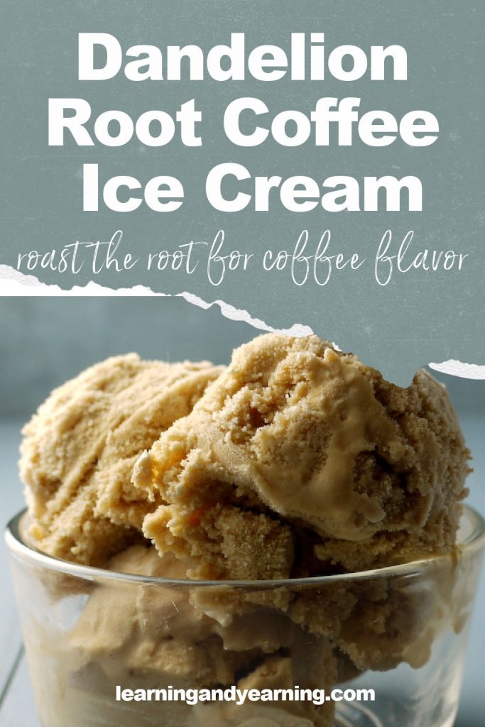 Homemade dandelion root coffee ice cream - a delicious foraged treat!