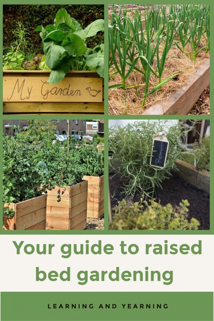 Your Guide To Raised Bed Gardening