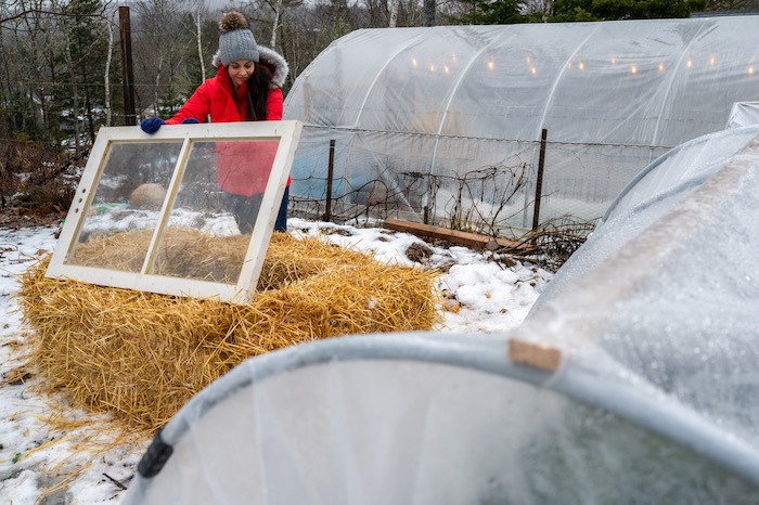 Straw bale cold frame