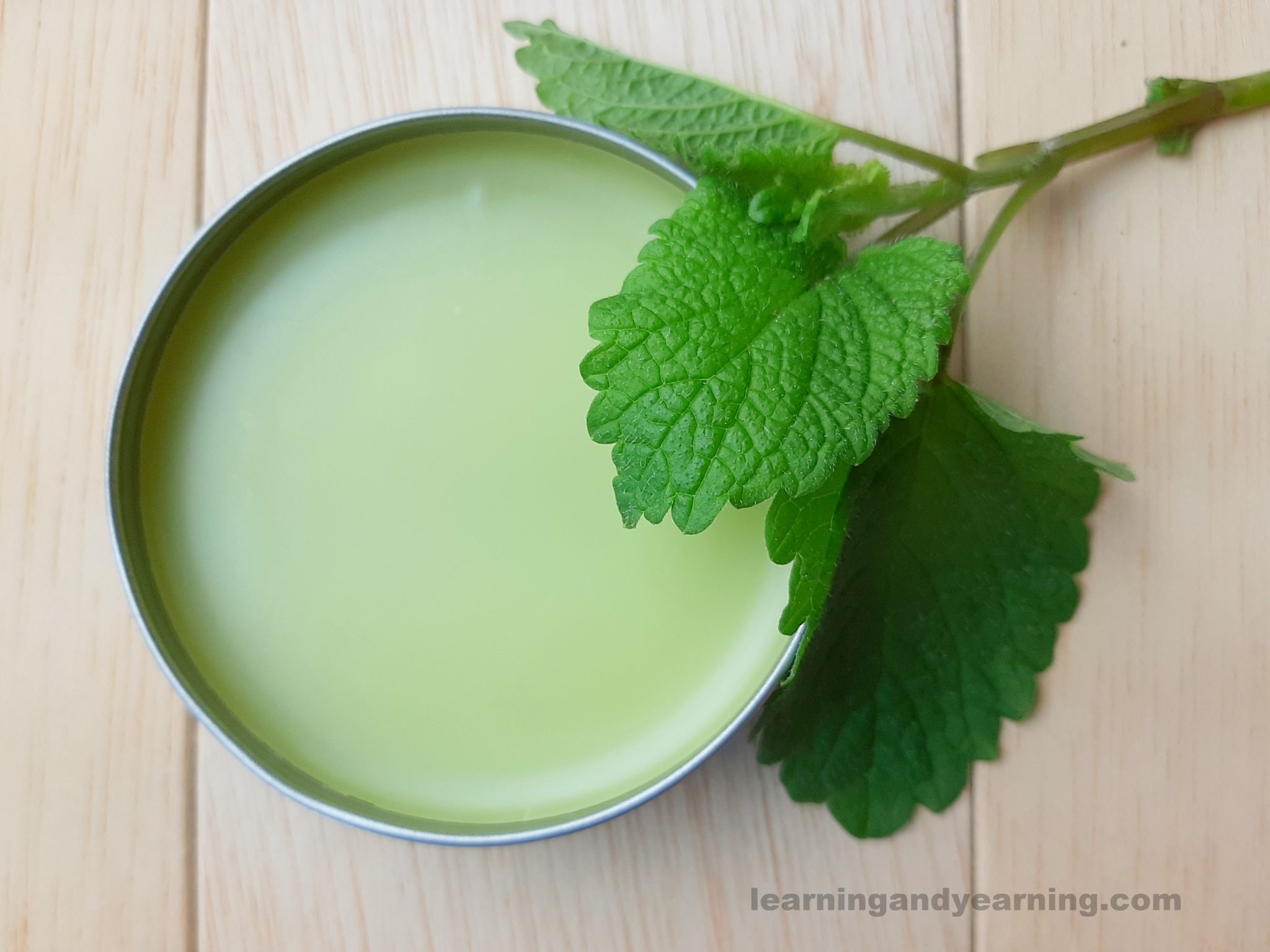 How To Use Lemon Balm For Cold Sores