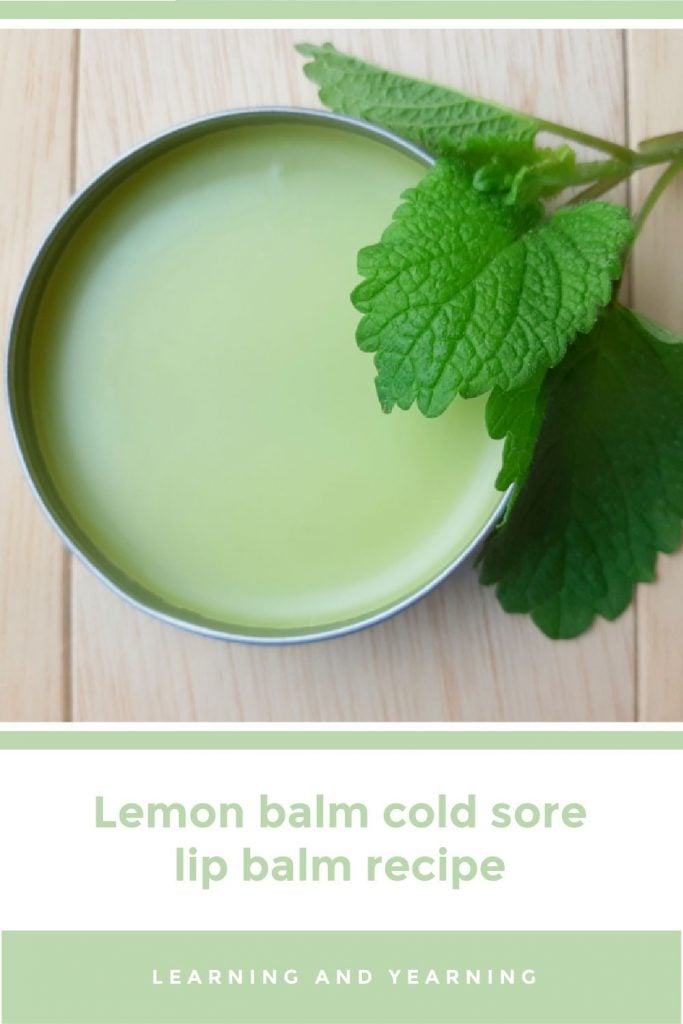 Lemon balm cold sore lip balm recipe! 