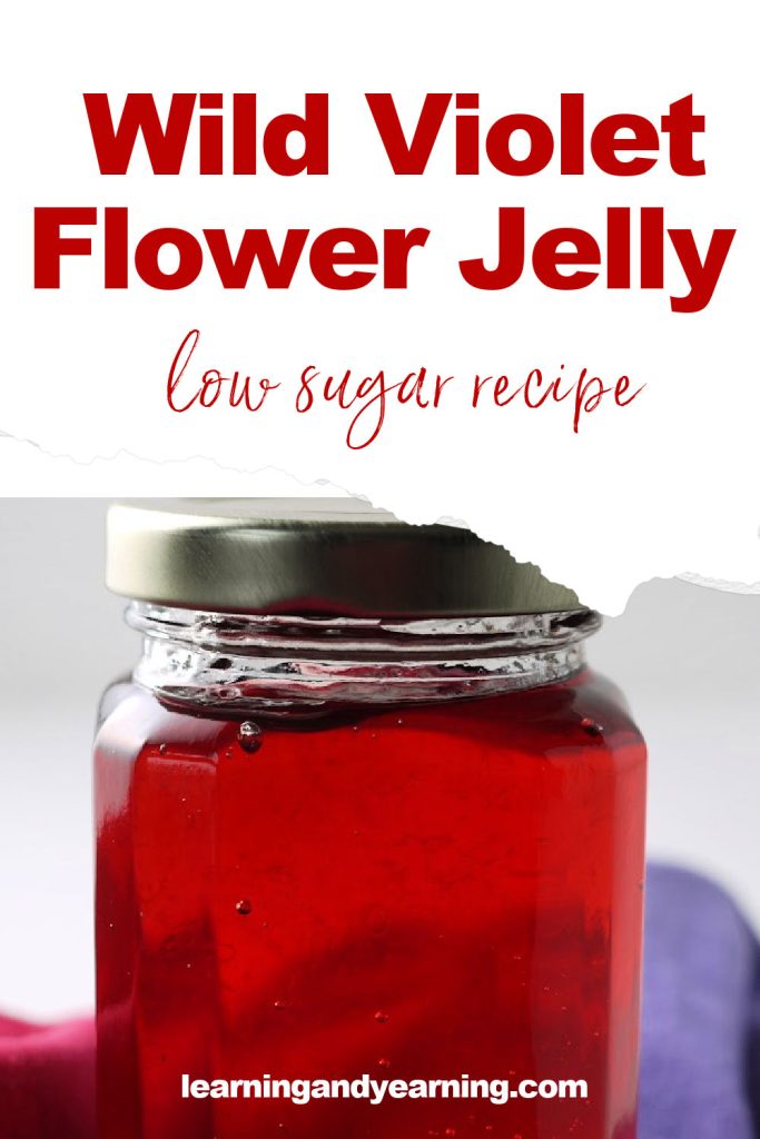 wild violet flower jelly low sugar recipe