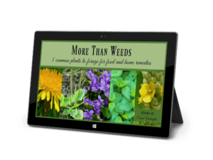 More Than Weeds eCourse