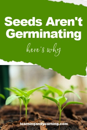 Seeds Aren't Germinating? Here's Why