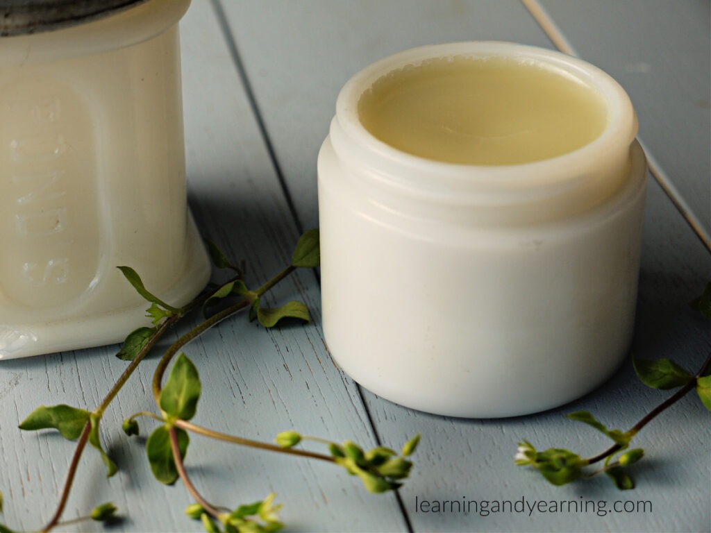 chickweed salve for itching in white jar