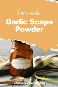 Those delicious fresh garlic scapes can easily be turned into garlic scape powder!