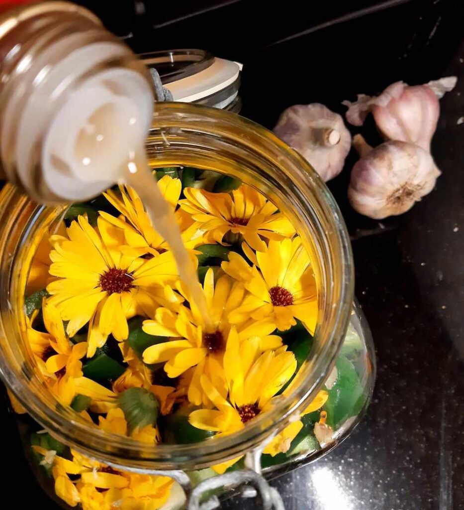 calendula flowers in glass jar