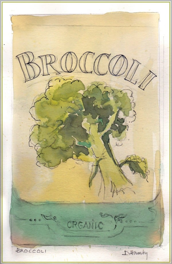 watercolor broccoli