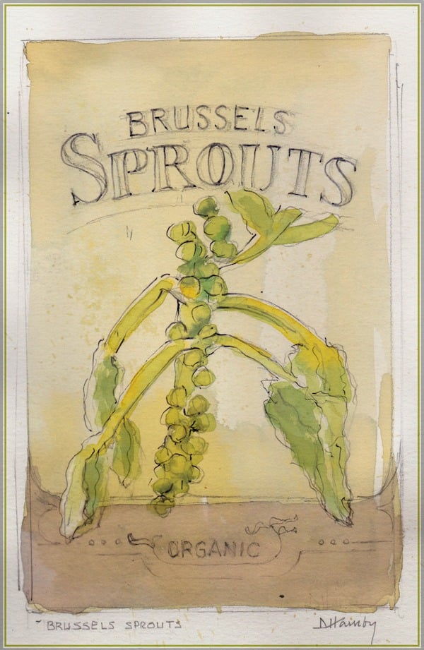 water color Brussels sprouts