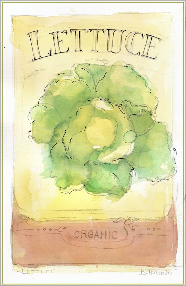 watercolor lettuce