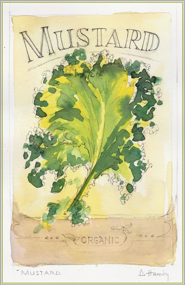 watercolor mustard greens