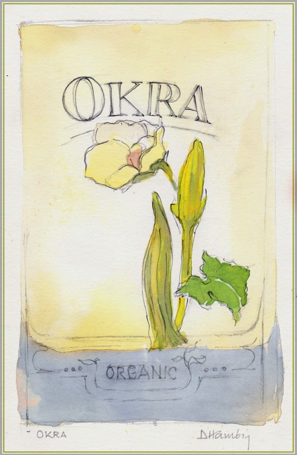 watercolor okra