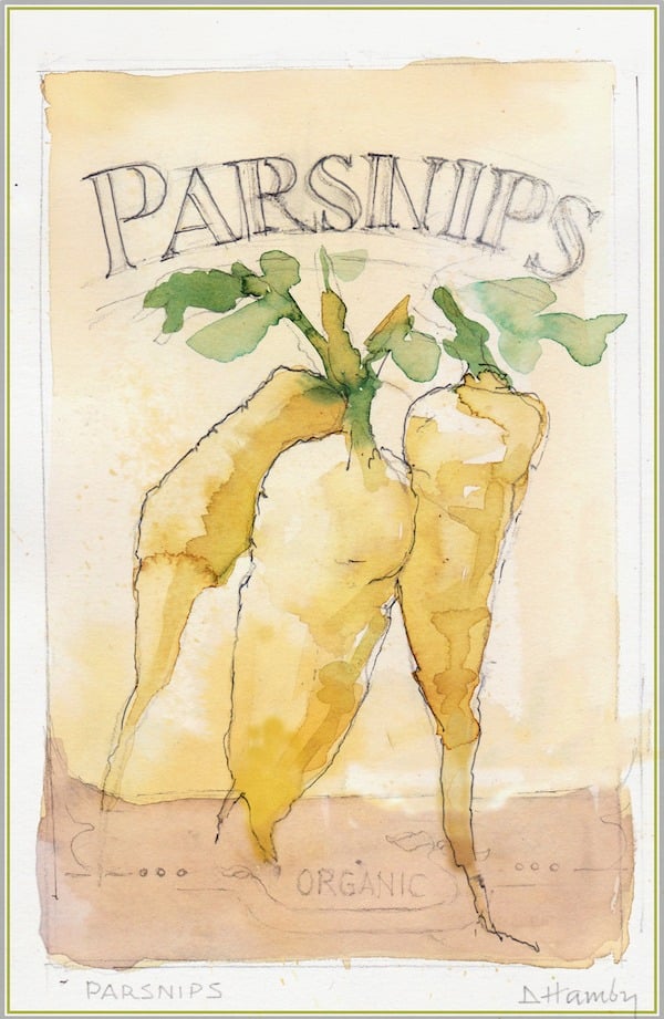 watercolor parsnips